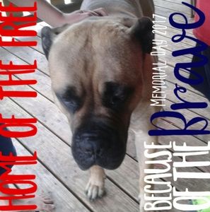 Meet your Posher, Connor